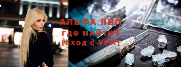 PSILOCYBIN Алзамай