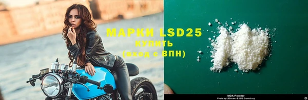PSILOCYBIN Алзамай