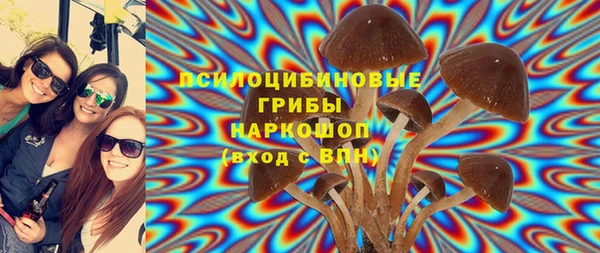PSILOCYBIN Алзамай