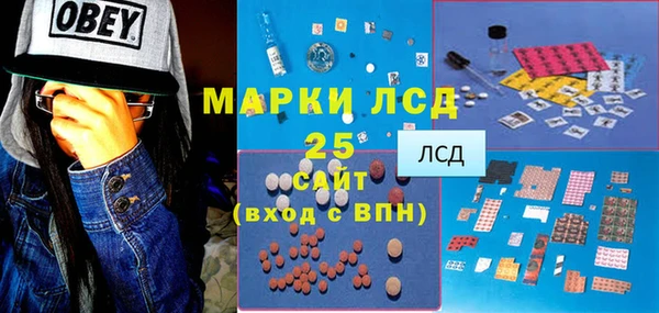 PSILOCYBIN Алзамай