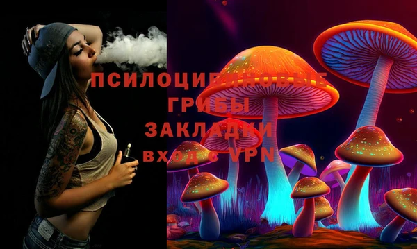 прущие грибы Алексин