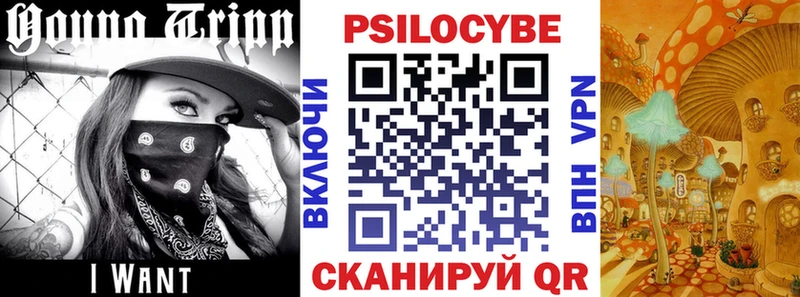 Псилоцибиновые грибы Psilocybine cubensis  Южно-Сахалинск 